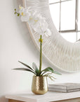 Cami - Orchid With Brass Pot - White
