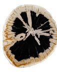 Arco - Petrified Wood Top Accent Table - Black / White