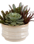 Mesa Succulent Accent - Silver