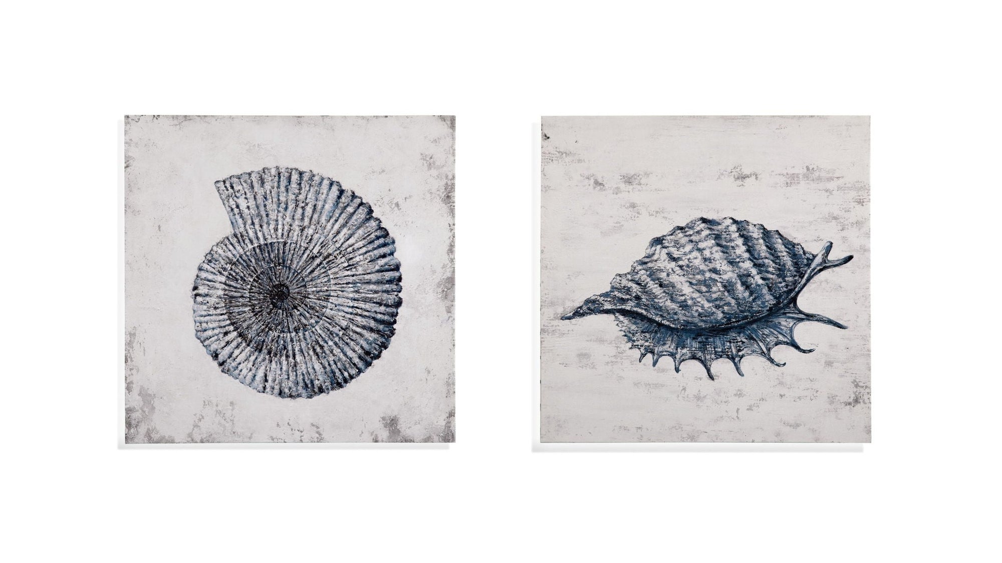 Shell II Canvas Art - Blue / Gray