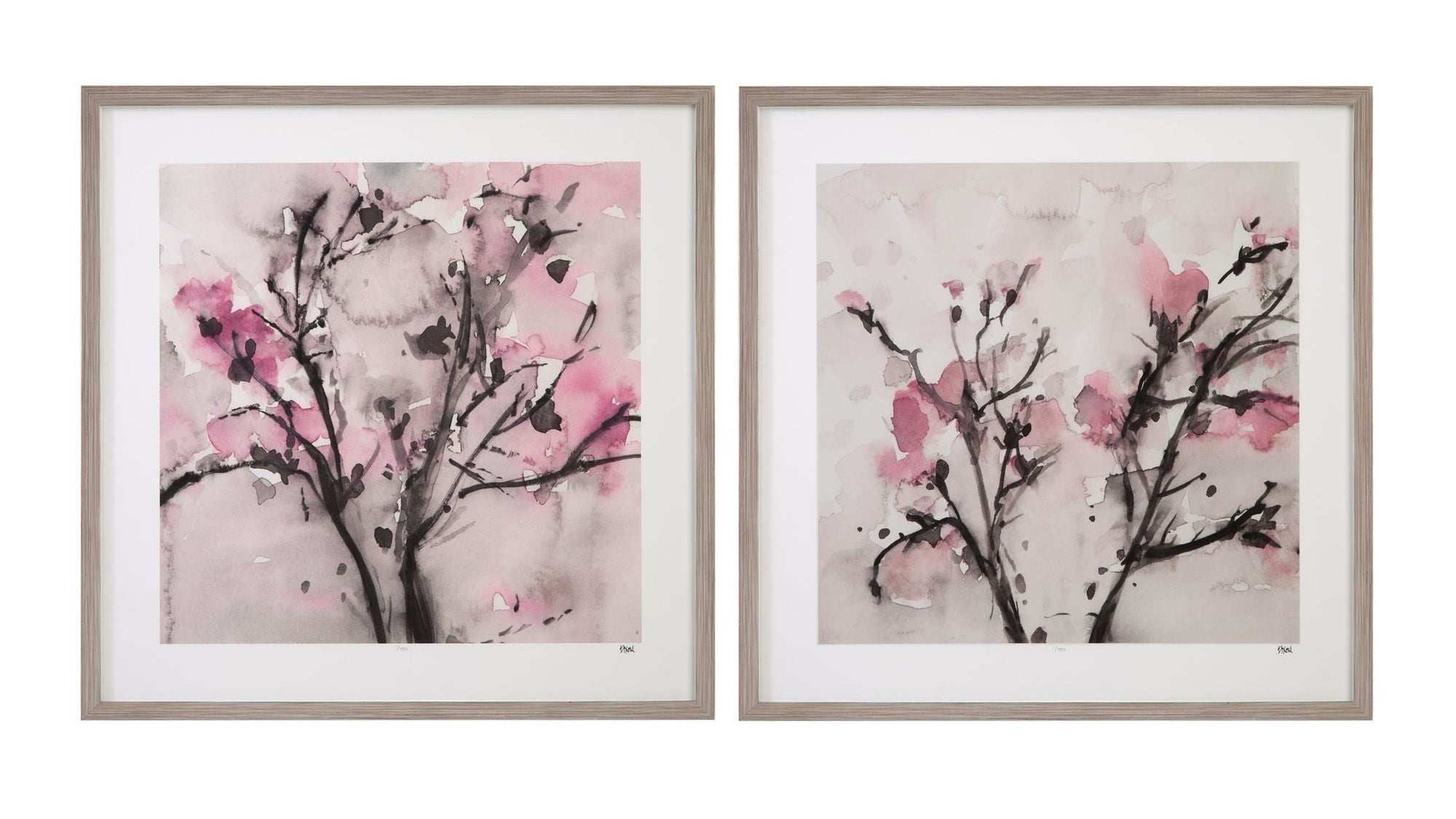 The Blossoms Framed Print Set of 2 - Pink
