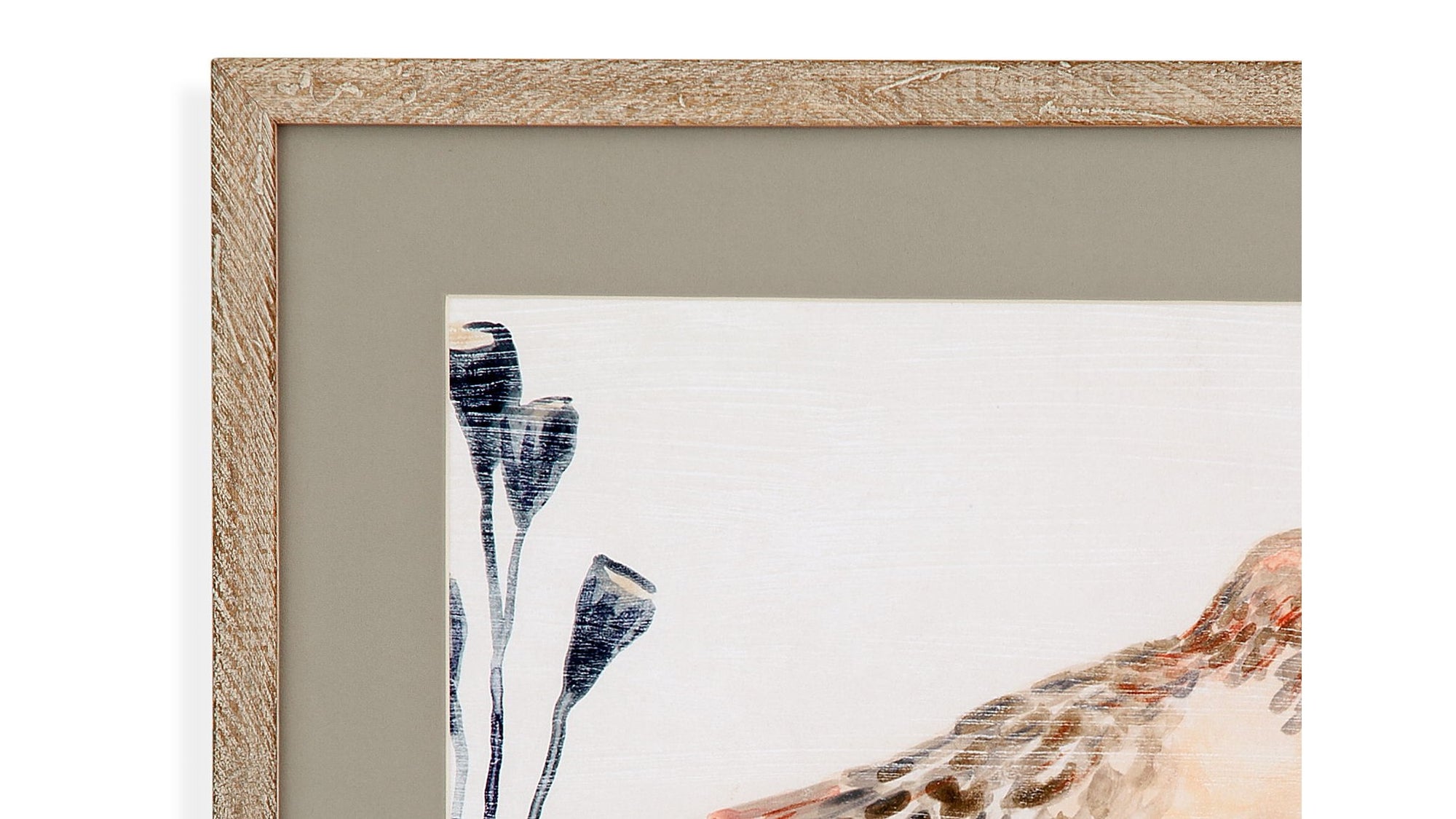 Shell Peppers III Framed Print - White