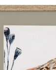 Shell Peppers III Framed Print - White