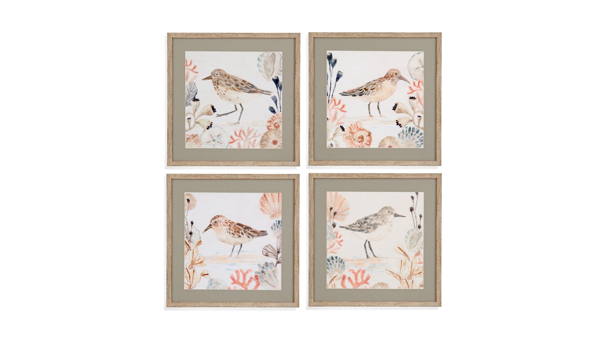 Shell Peppers Framed Print Set of 4 - White