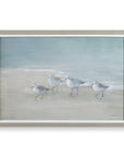 Tranquil Shorebirds On The Sand - Framed Print - Light Gray