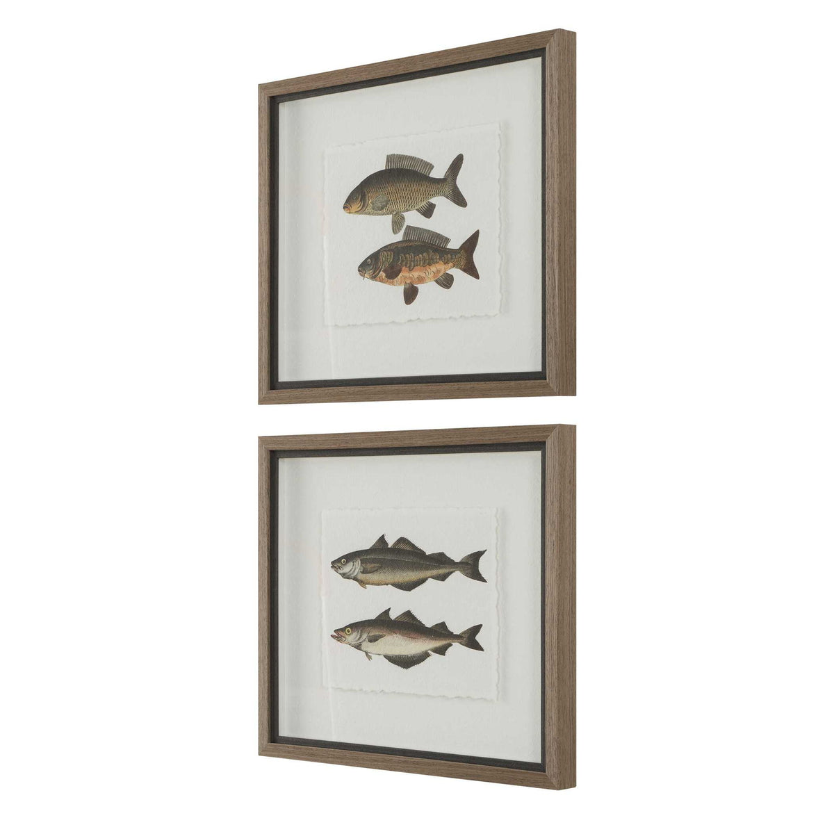 The Catch - Framed Fish Prints (Set of 2) - Black / Brown / Gray / Green / Orange / Woodtone
