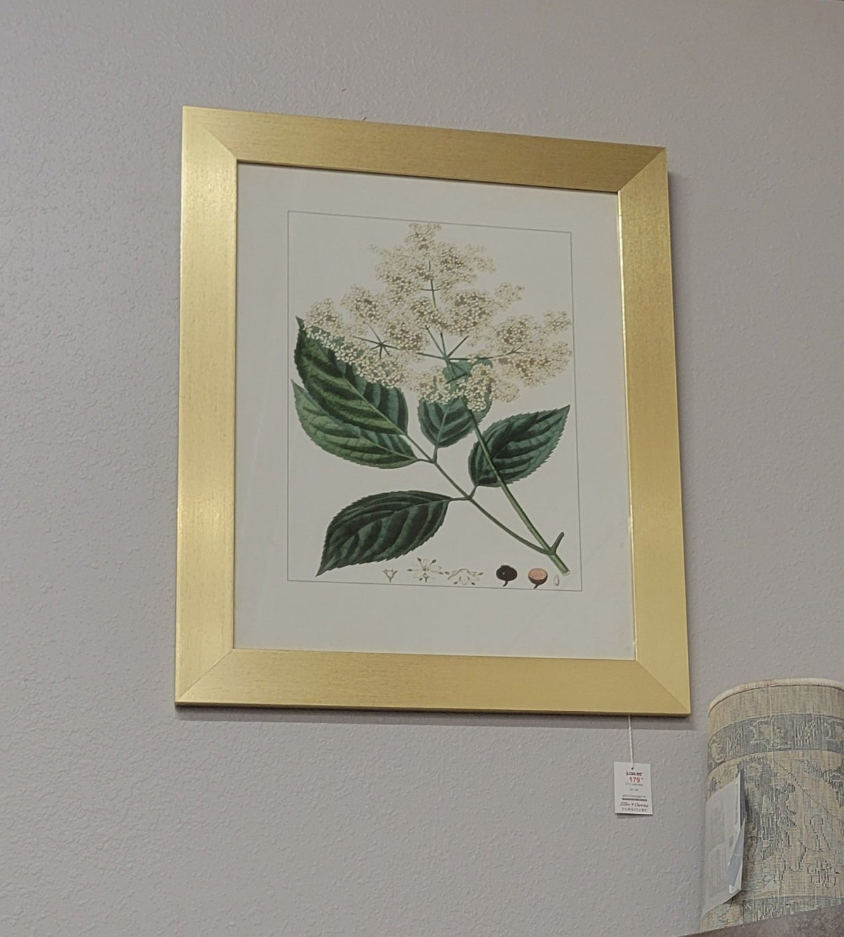StyleCraft Botanical Framed Art, Set of 2 – Closeout, Cleveland