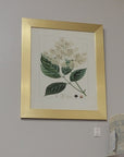 StyleCraft Botanical Framed Art, Set of 2 – Closeout, Cleveland