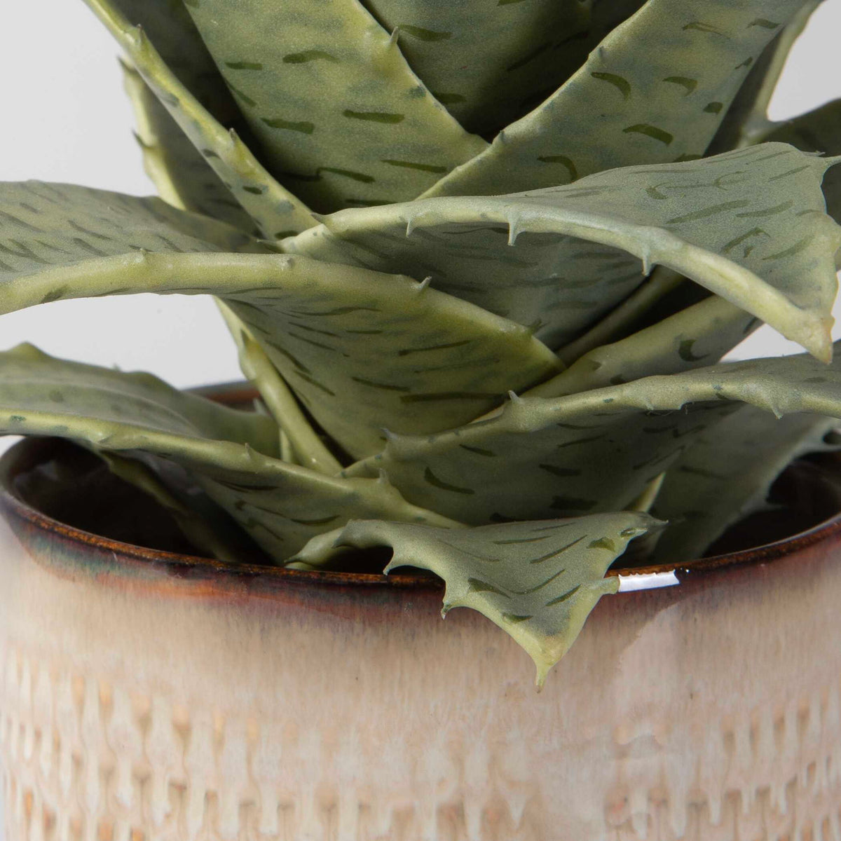 Seaside Succulents Set of 2 - Silver