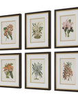 Orchid - Botanical Framed Prints (Set of 6) - Black / Blue / Gold / Green / Orange / Pink / Purple / Red