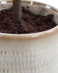Solea Olive - Accent & Textured Vase - Brown / Green