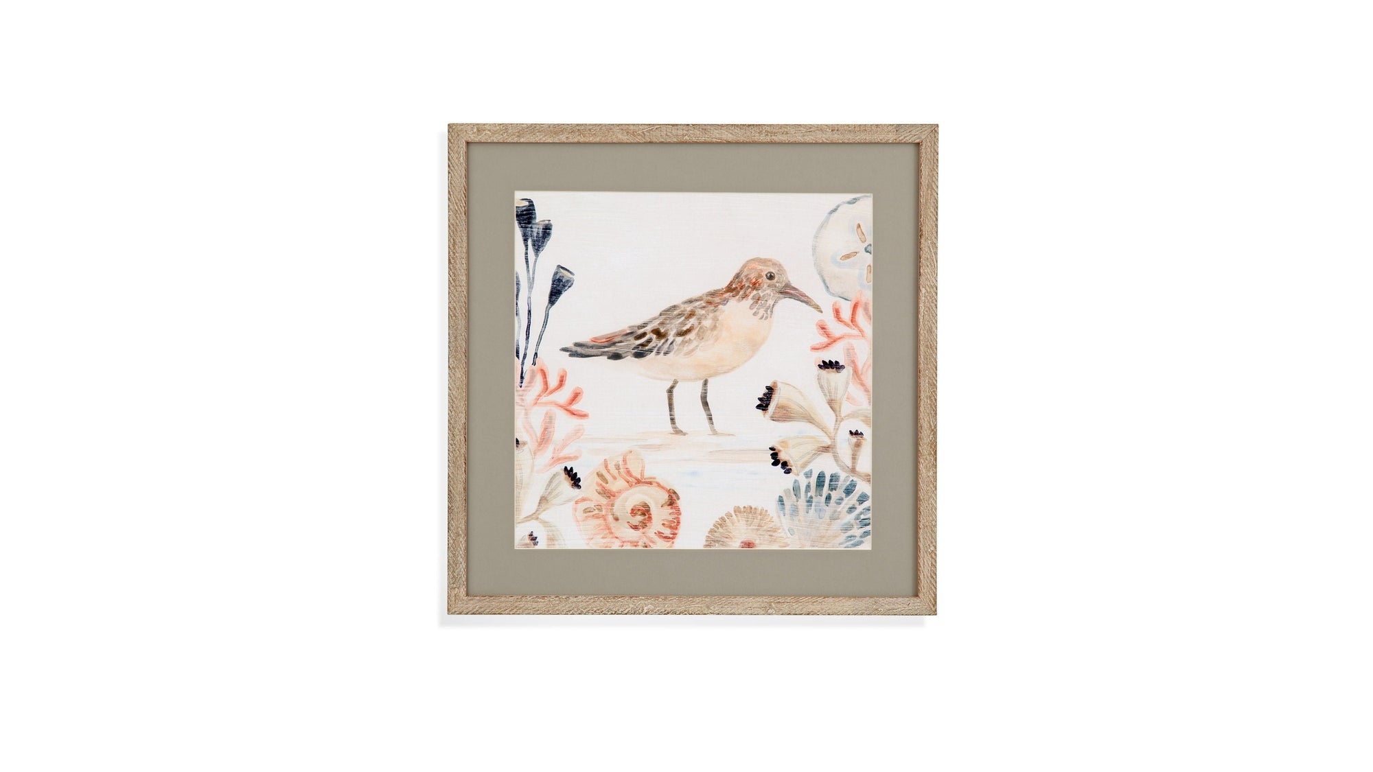 Shell Peppers III Framed Print - White