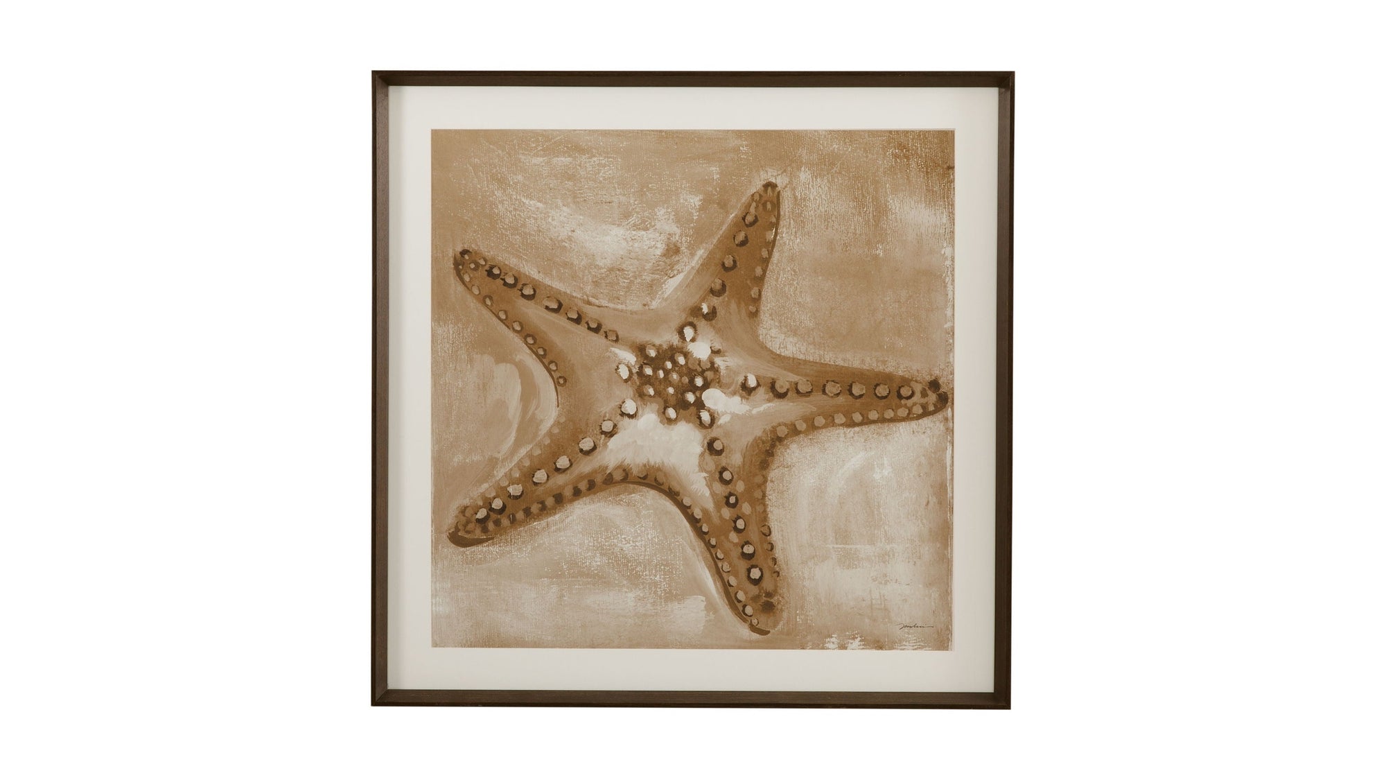 Neutral Starfish Framed Print - Light Brown