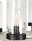 Edgecomb - 10 Light Indoor-Outdoor Chandelier - Black / Gray
