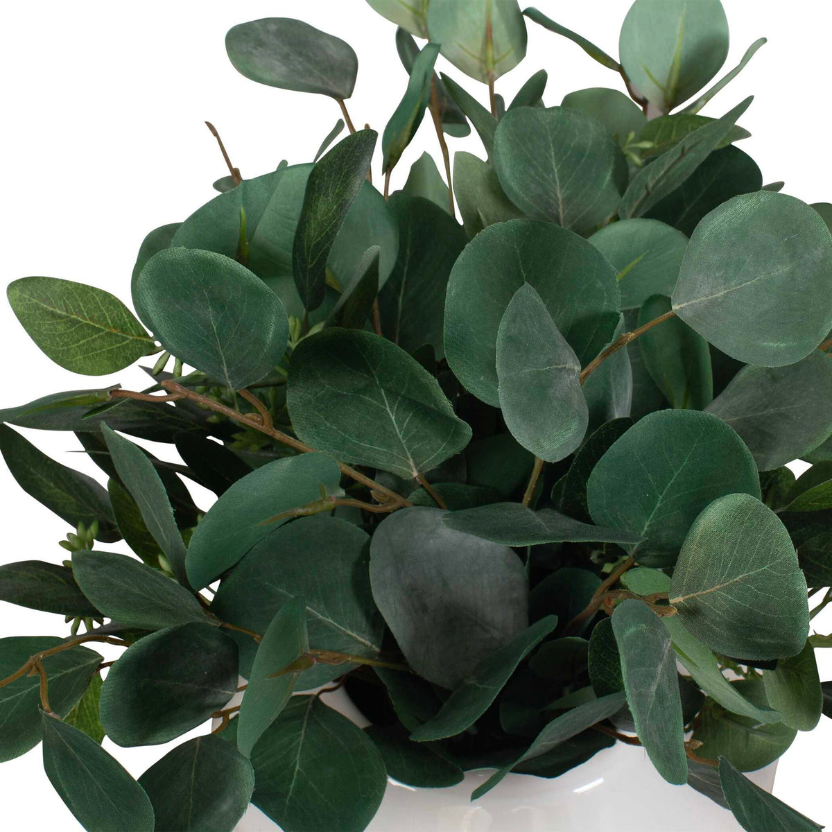 Essence Eucalyptus - Accent &amp; Vase - Green / White