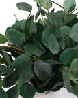 Essence Eucalyptus - Accent & Vase - Green / White