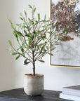 Solea Olive - Accent & Textured Vase - Brown / Green