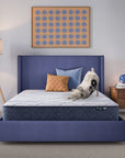 Perfect Day - 10" Serta Medium Mattress in a Box