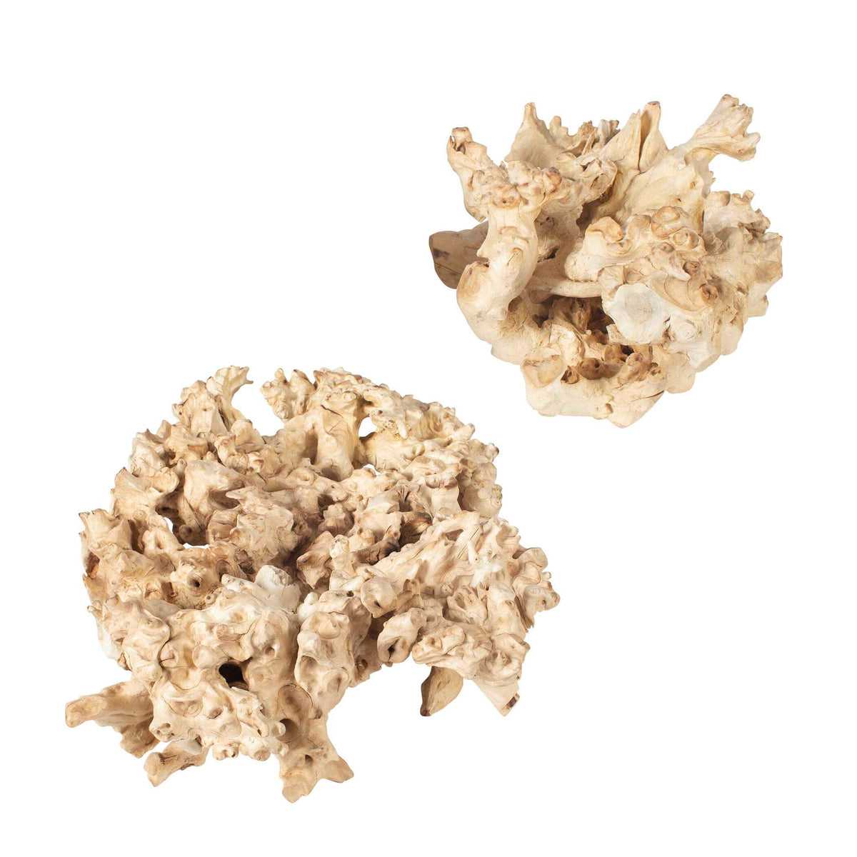 Elemental Root - Outdoor Sculptures (Set of 2) - White