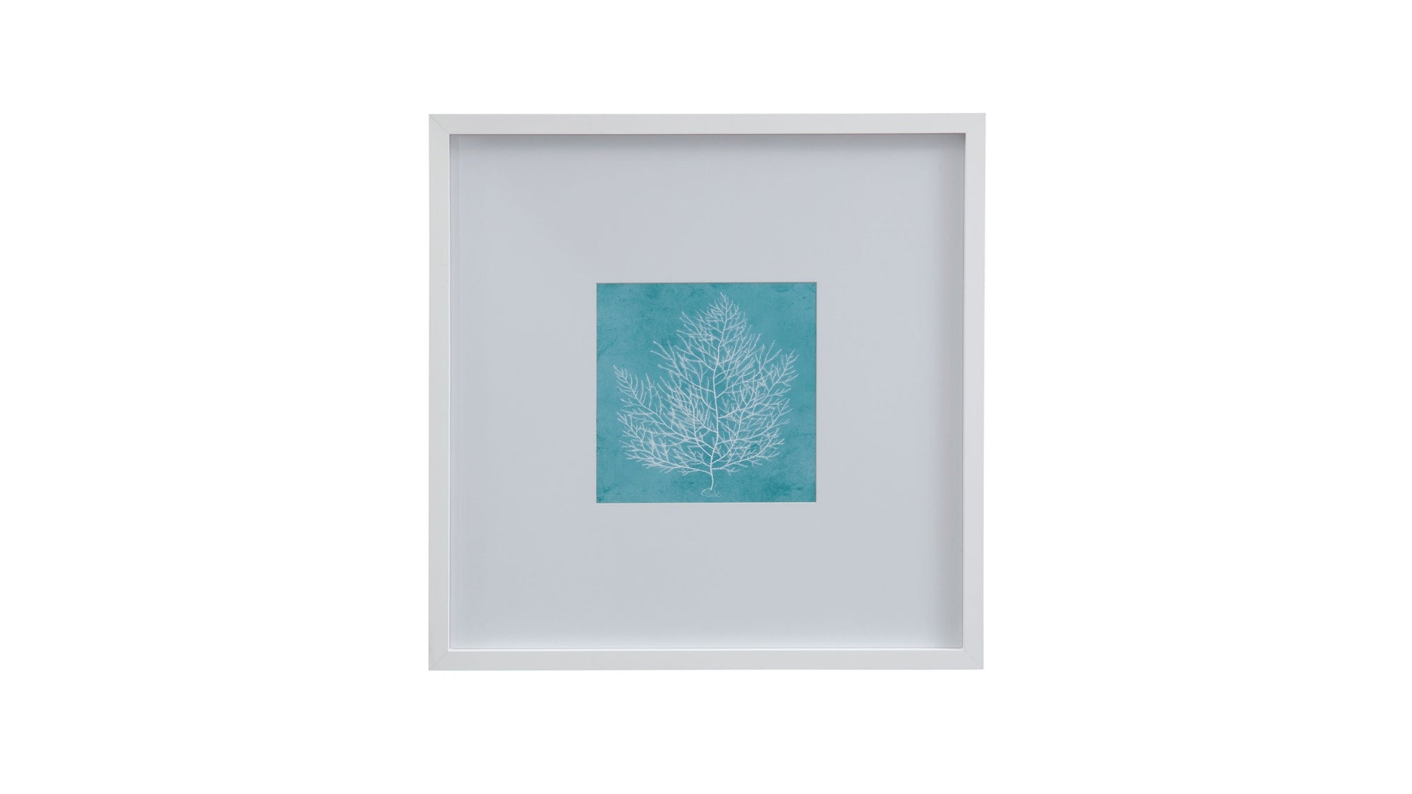 White Coral On Blue I Framed Print - Blue / White