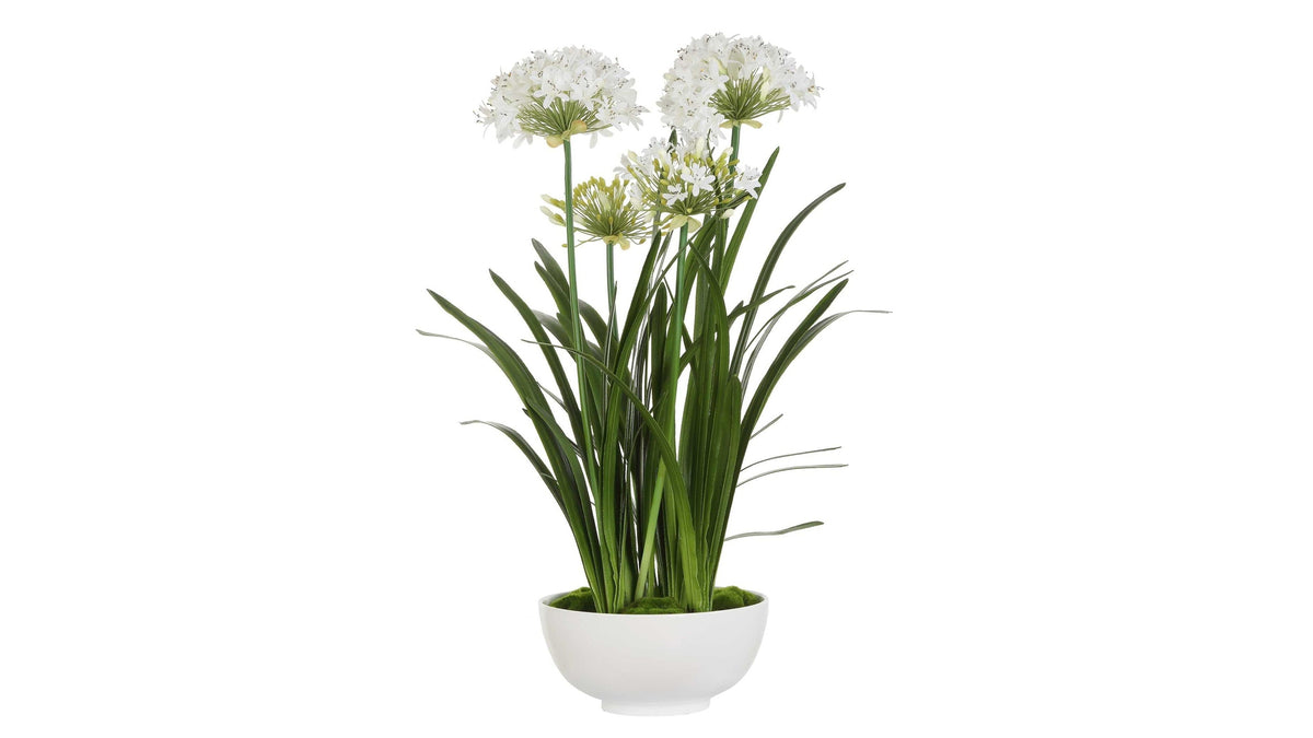 Purity Agapanthus - Centerpiece