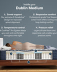 Perfect Sleeper Pro Hybrid - 14" Dublin Latex Medium Mattress