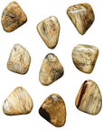 Pebbles - Blonde Wood Wall Décor (Set of 9) - Light Brown