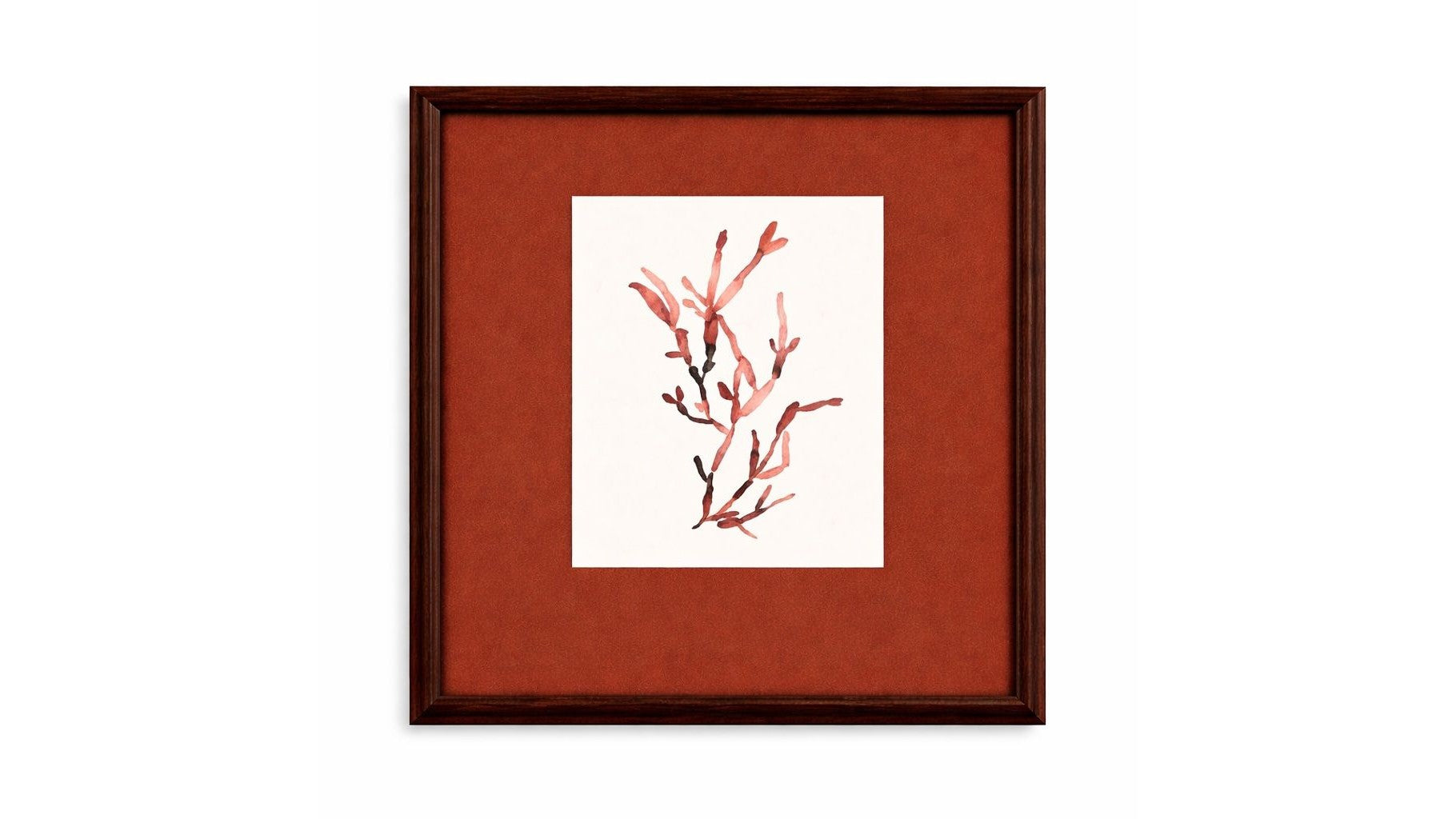 Bubble Seaweed Framed Print - Red