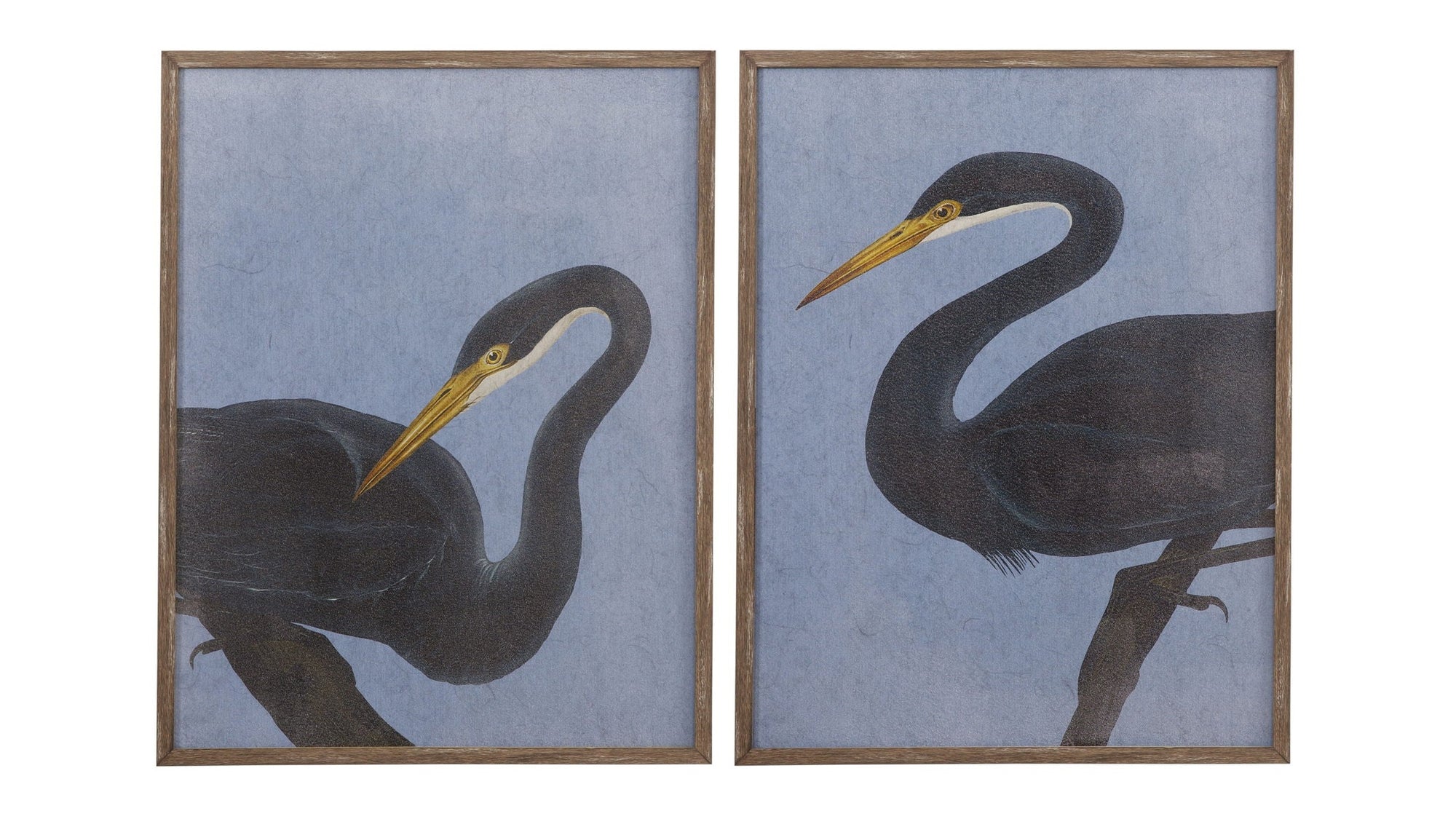 Bayou Heron II Framed Print - Blue / Black