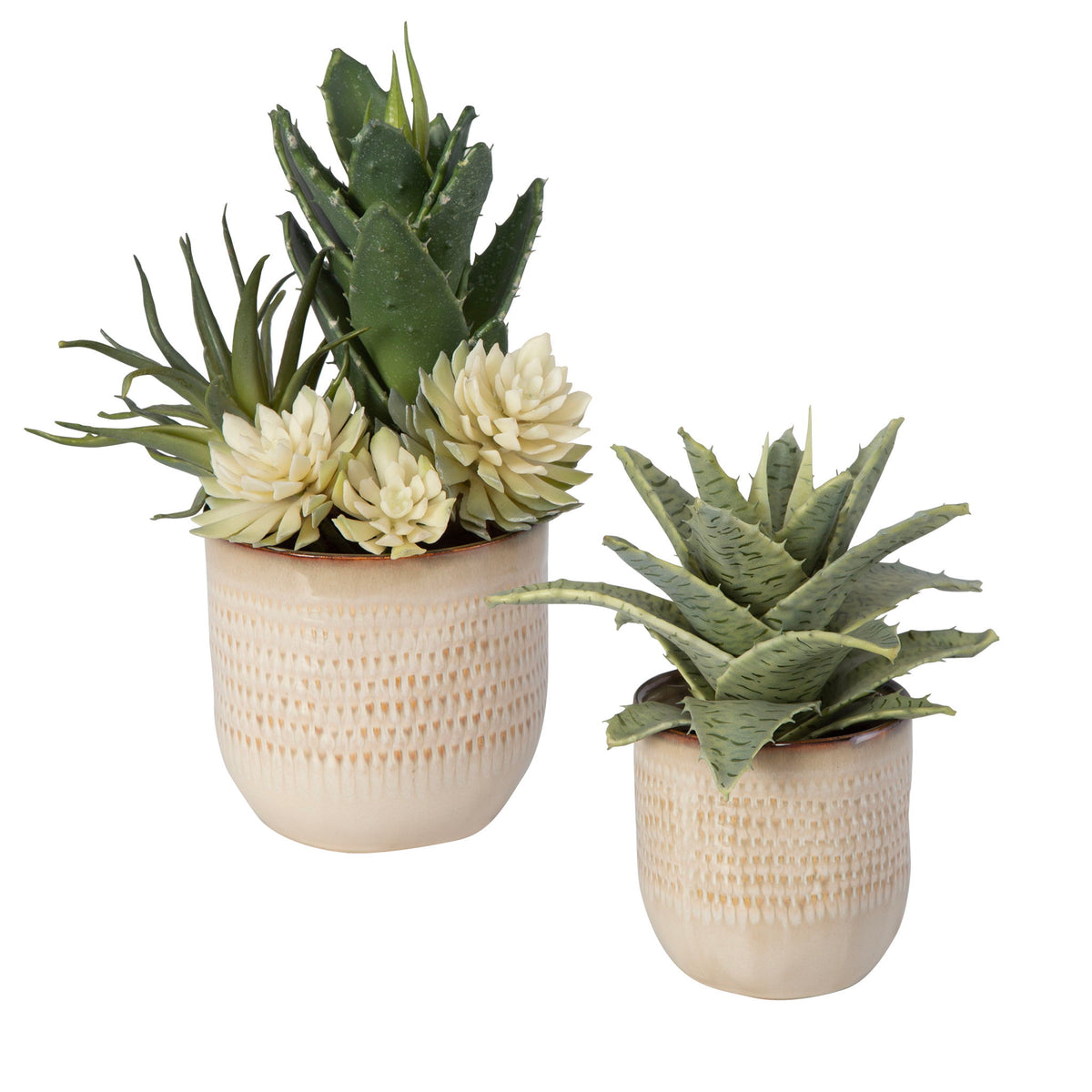 Seaside Succulents Set of 2 - Silver