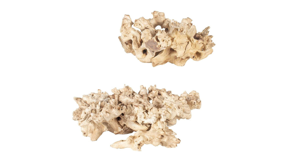 Elemental Root - Outdoor Sculptures Set of 2 - White