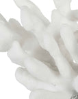 Charbel - Bookends (Set of 2) - White