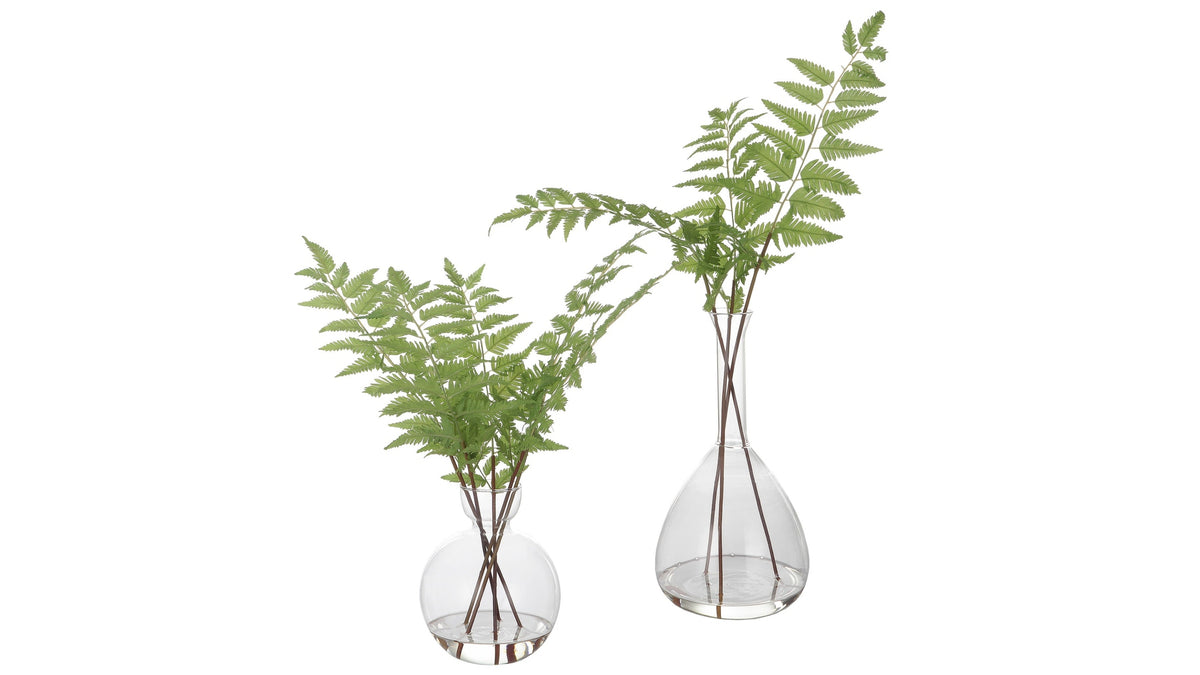 Country - Ferns (Set of 2)