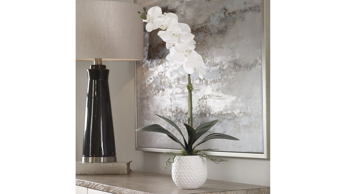 Cami - Orchid - White