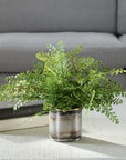 Maidenhair Fern - In Oxidized Container - Gray