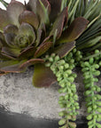 Yuma - Succulent Centerpiece - Gray