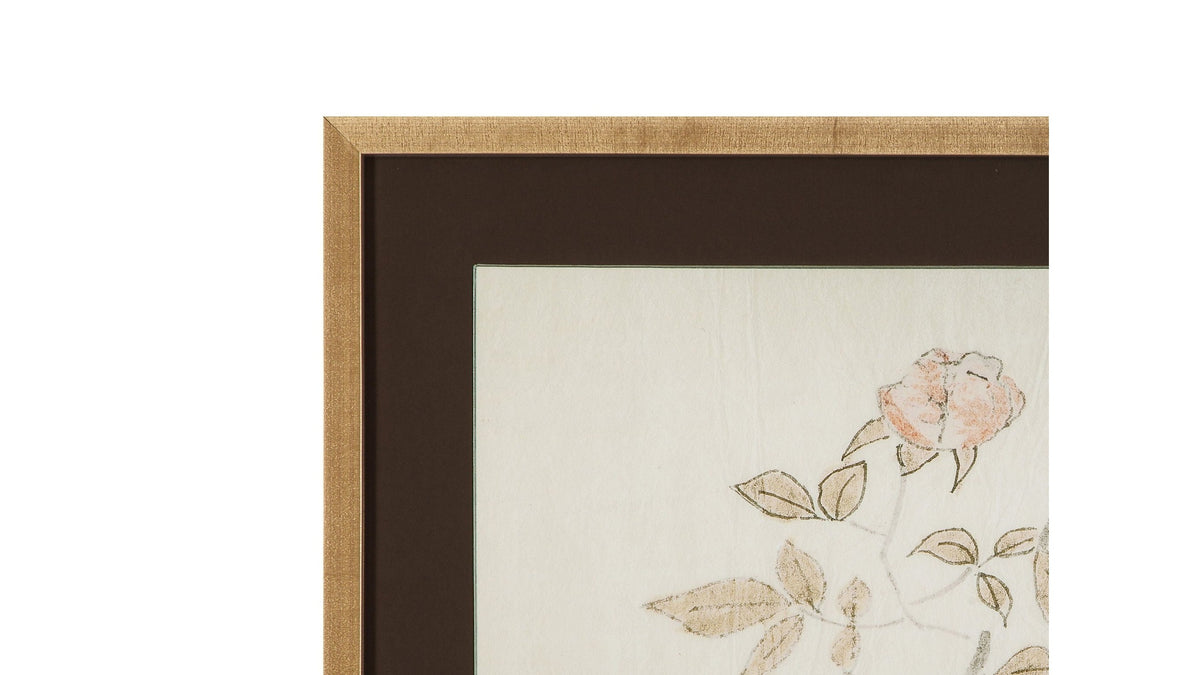 Delicate Rose I Framed Print - Cream