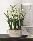 Ariana Orchid - Planter - Gray