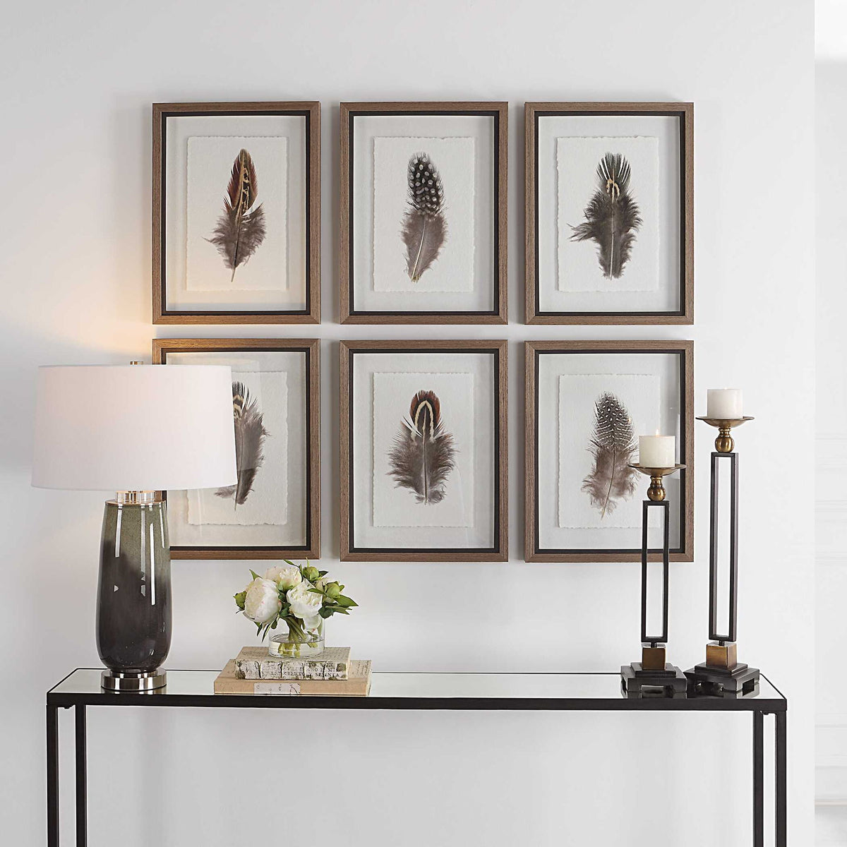 Birds Of A Feather - Framed Prints (Set of 6)