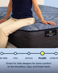 Perfect Sleeper - 14" Euphoric Nights Hybrid Plush Mattress