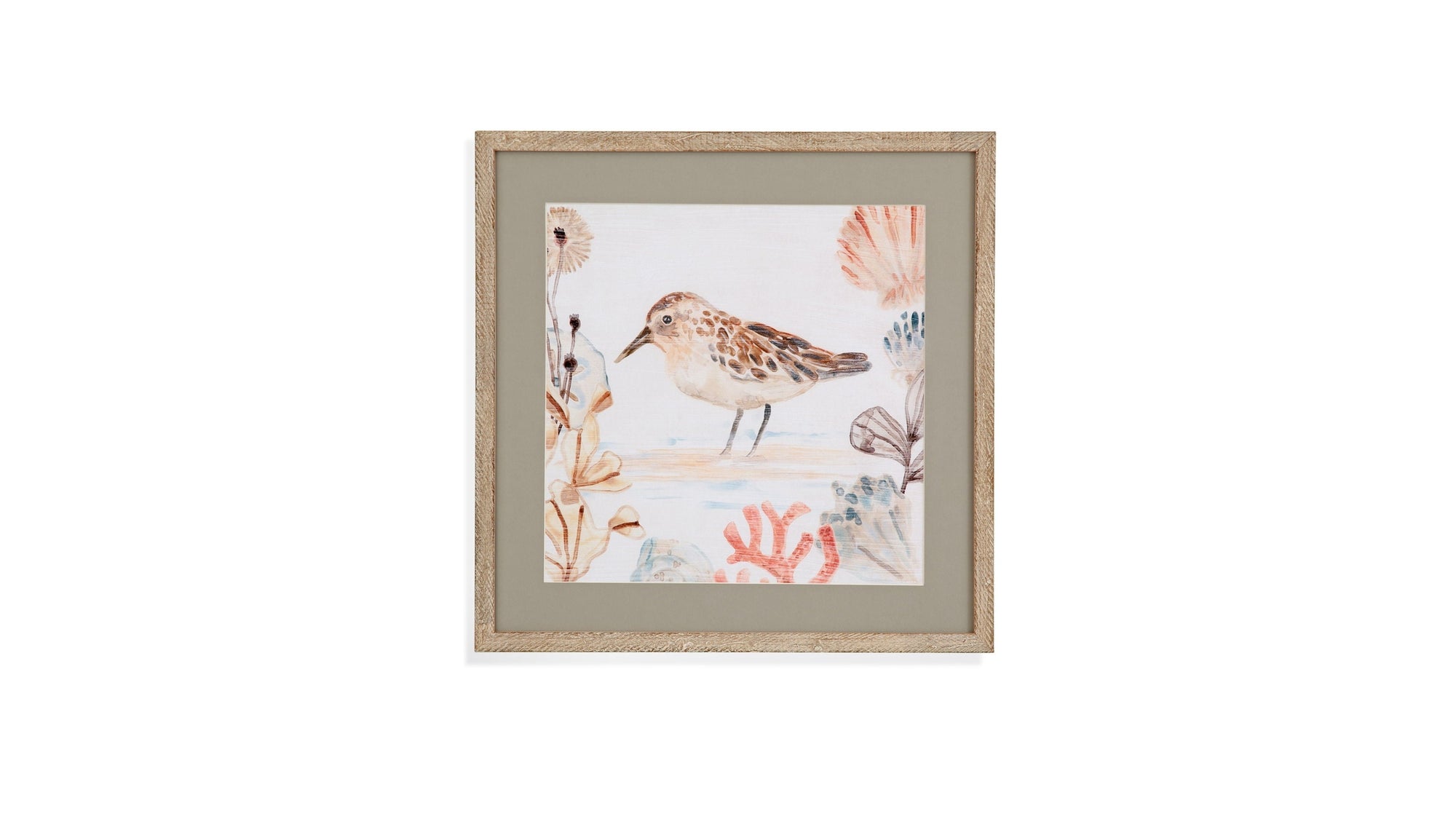 Shell Peppers IV Framed Print - White