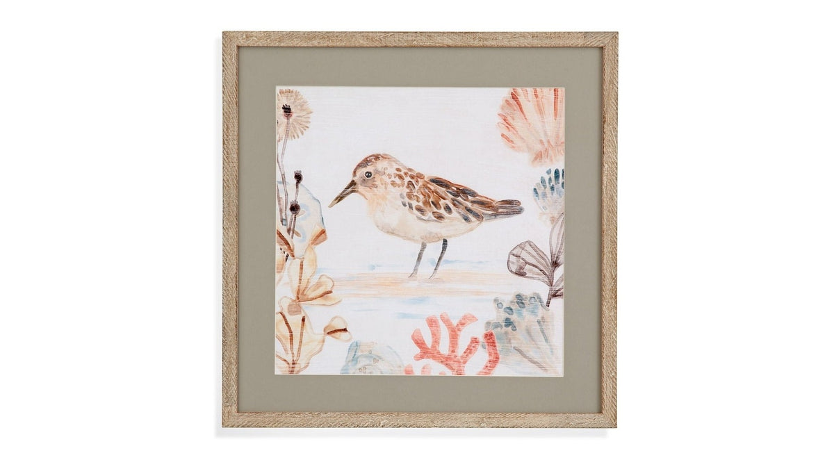 Shell Peppers IV Framed Print - White