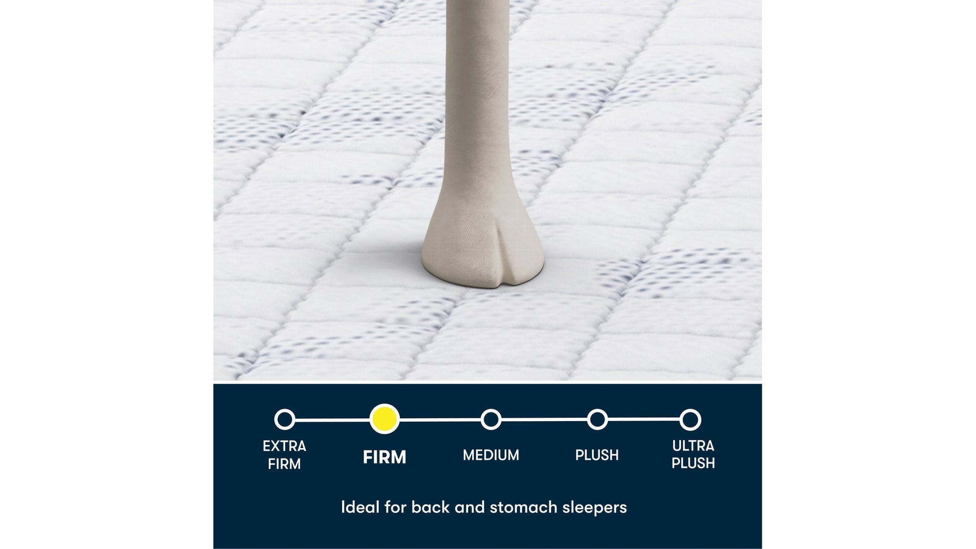 Perfect Day - 12" Serta Firm Mattress in a Box