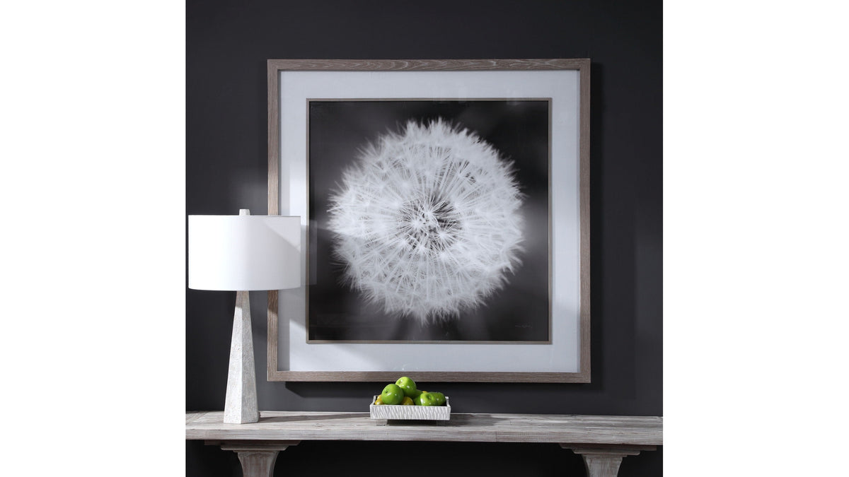 Dandelion Seedhead - Framed Print - Black