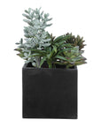 Greystone - Indoor-Outdoor Succulent - Green