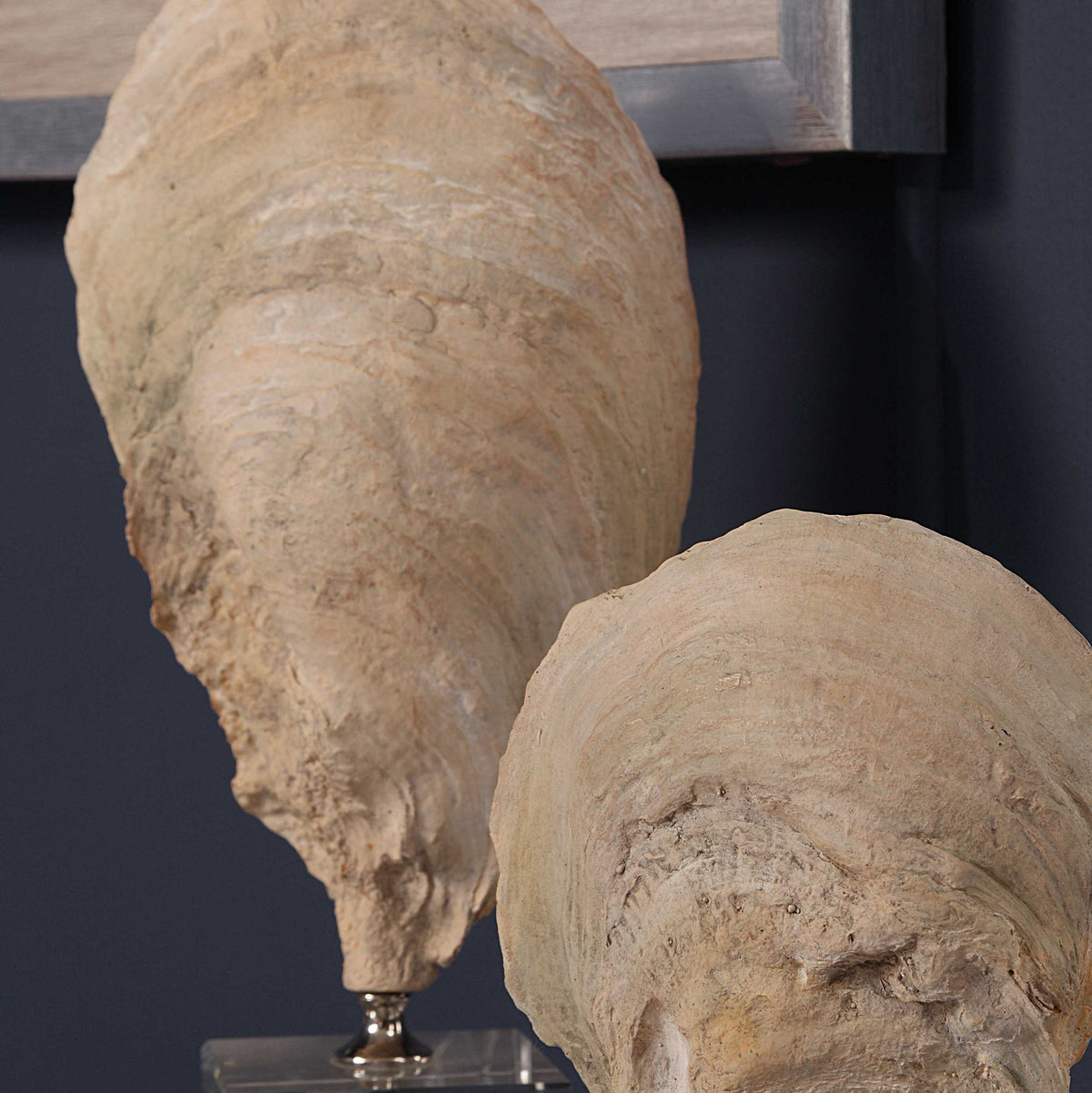 Oyster - Shell Sculptures (Set of 2) - Beige