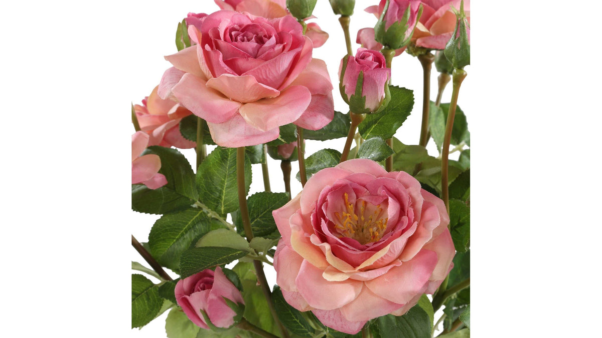 Adoration Rose - Bouquet - Pink