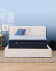 Perfect Sleeper - 14.5" Blue Lagoon Nights Plush Pillow Top Mattress