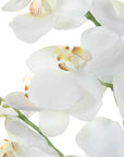 Laris - Orchid Drop-In - White