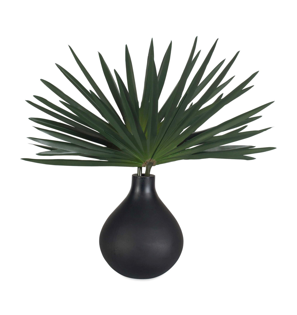 Axis Palm - Accent &amp; Vase - Black / Green
